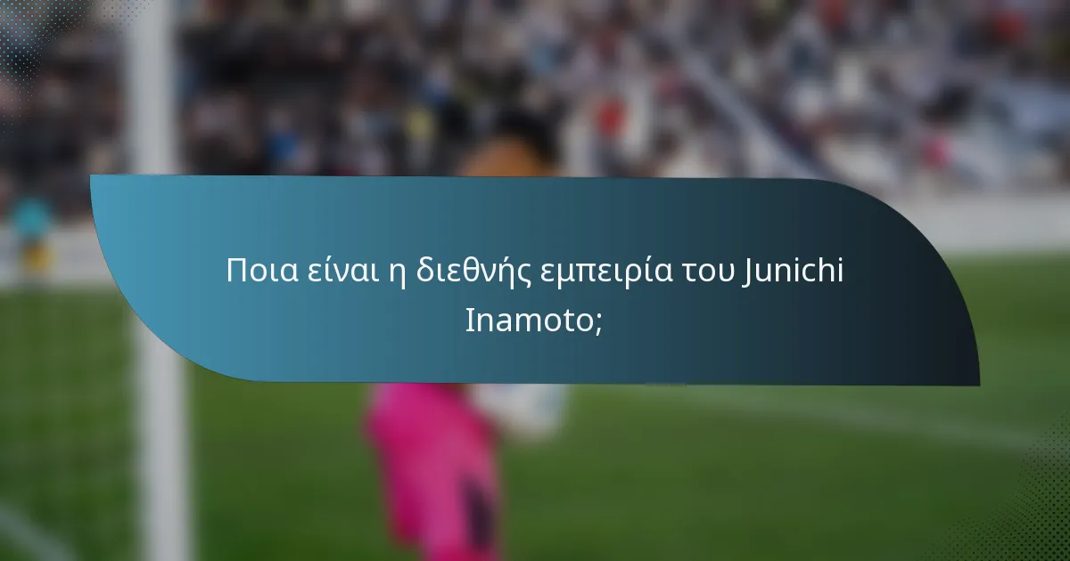 Ποια είναι η διεθνής εμπειρία του Junichi Inamoto;